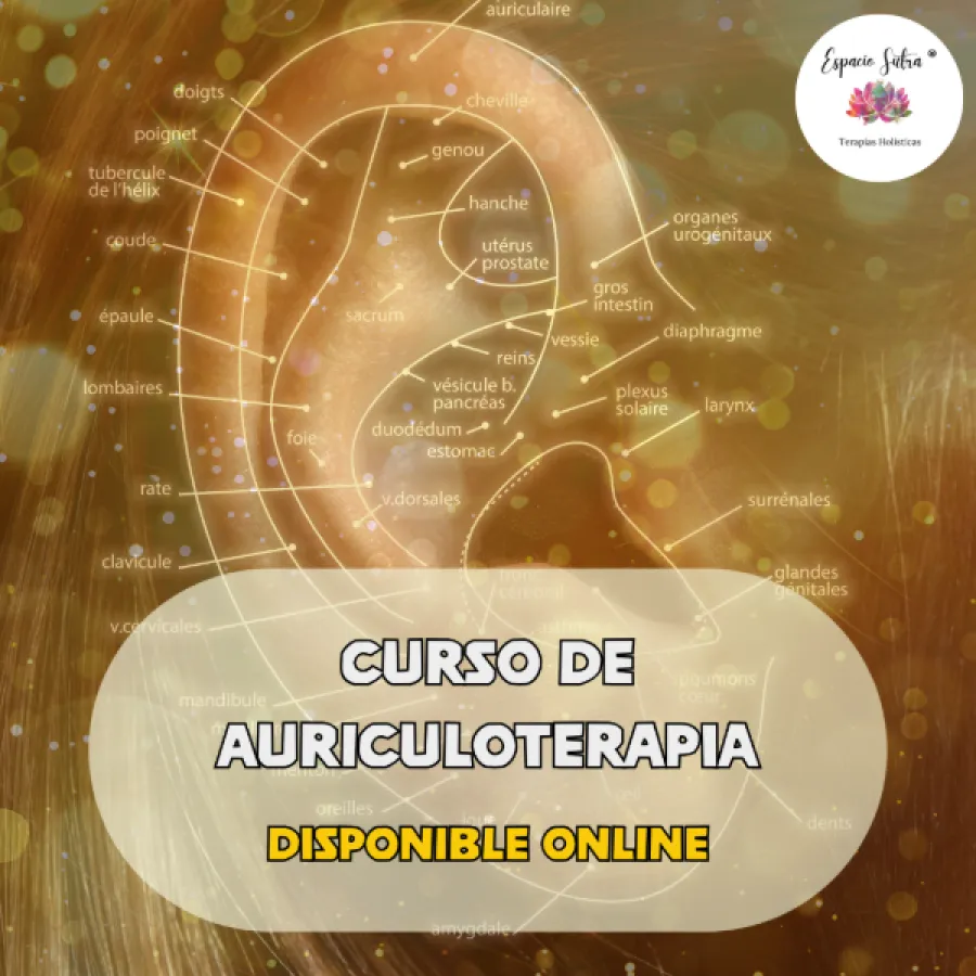 AURICULOTERAPIA