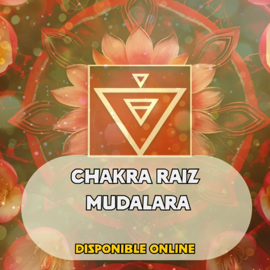 CHAKRA RAIZ MUDALARA