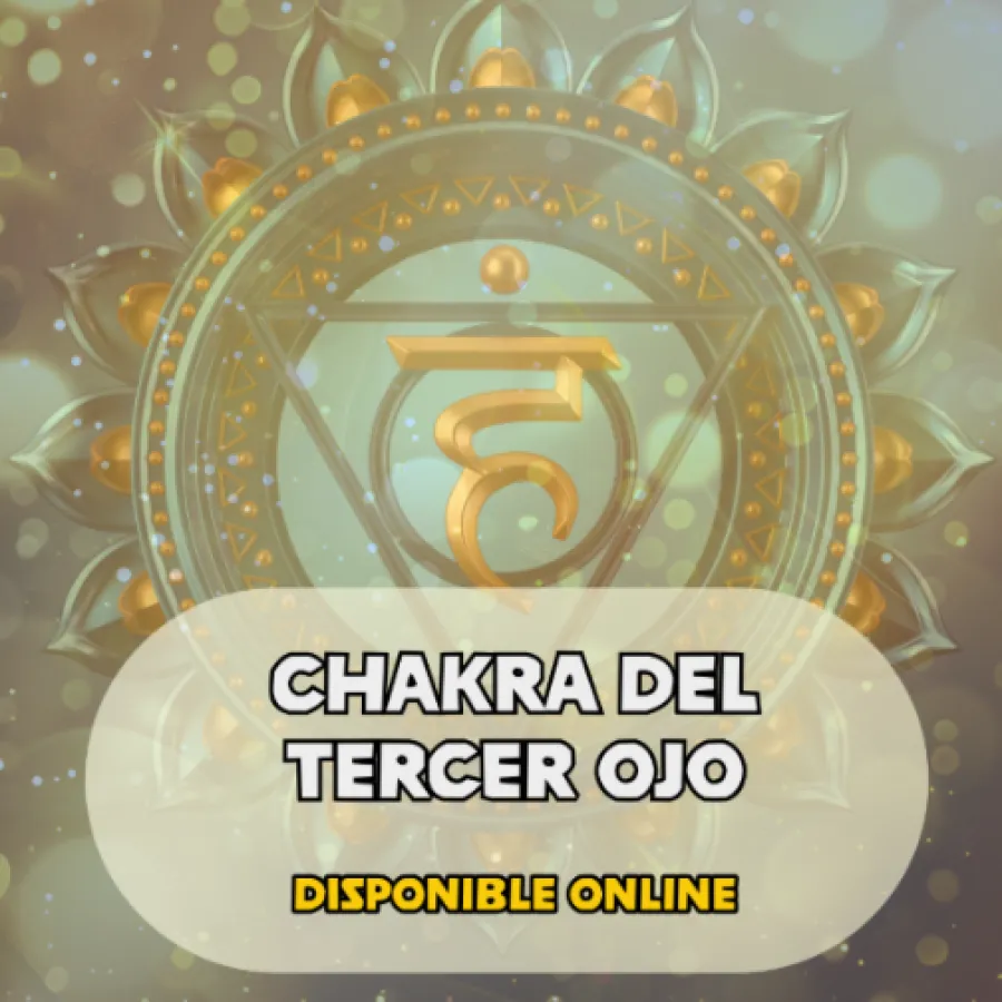 CHAKRA TERCER OJO